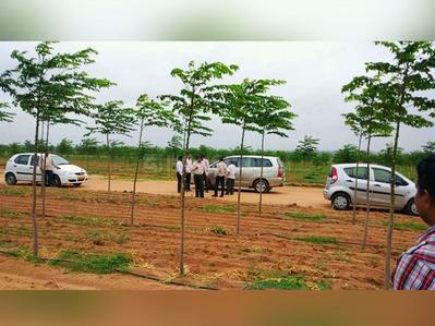 Project Image of 3375.0 - 5445.0 Sq.ft Residential Plot Plot for buy in Myneni Peacock Avenue