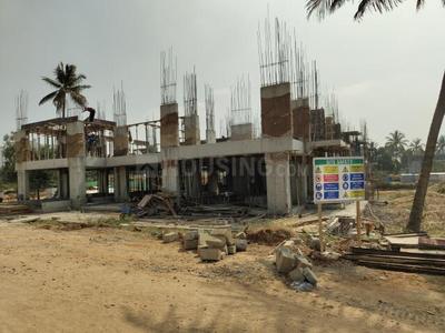 Project Image of 1120.0 - 3370.0 Sq.ft 2 BHK Apartment for buy in Cynosure Sunny Groves