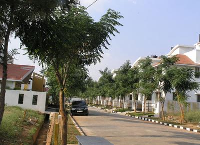 Project Image of 3150.0 - 3300.0 Sq.ft 3 BHK Villa for buy in Celebrity Golden Treasure
