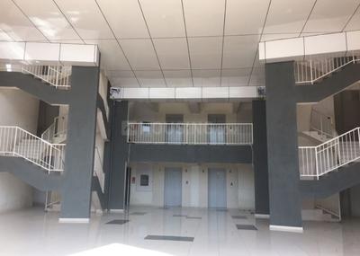 Project Image of 1170.0 - 3140.0 Sq.ft 2 BHK Apartment for buy in Plama Grande