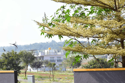 Project Image of 1200.0 - 4000.0 Sq.ft Residential Plot Plot for buy in MRR Horizon