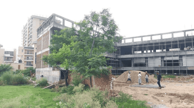 Project Image of 1767.0 - 2704.0 Sq.ft 3 BHK Apartment for buy in Amayra Trillium