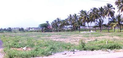 Project Image of 1291.0 - 3306.0 Sq.ft Residential Plot Plot for buy in Annai Sri Srinivasa Nagar