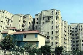 Today Kings Park - Image 4