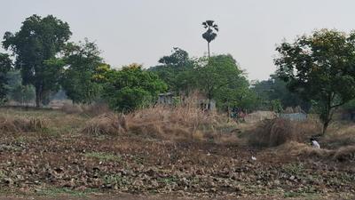 Project Image of 1000.0 - 10000.0 Sq.ft Residential Plot Plot for buy in Mahamum Plots In Uran
