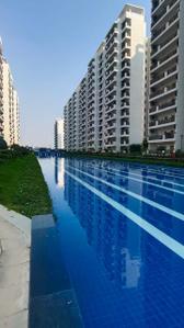 Project Image of 1588.75 - 148916.18 Sq.ft Residential Plot Plot for buy in Central Park Flower Valley Phase IV