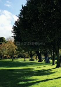 Project Image of 1062.61 - 4203.09 Sq.ft Residential Plot Plot for buy in Ahad Hills