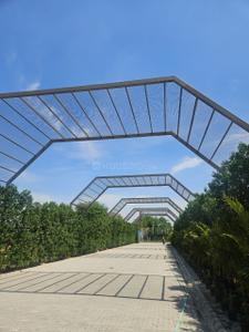 Project Image of 1009.8 - 1396.8 Sq.ft Residential Plot Plot for buy in 3B Pataudi Greens