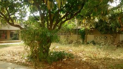 Project Image of 393.0 - 694.0 Sq.ft 1 BHK Apartment for buy in Paradigm Pushpanjali Residency Phase III