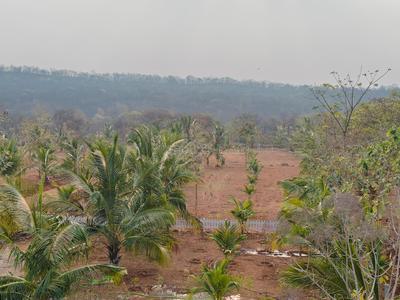 Project Image of 5717.0 - 7078.0 Sq.ft Agricultural Land Agricultural Land for buy in Swaraa