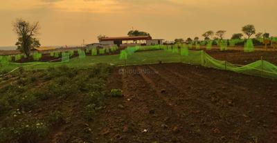 Project Image of 5445.0 - 43560.0 Sq.ft Residential Plot Plot for buy in Sampangi The Agri Fields