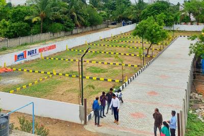 Project Image of 1207.0 - 1262.0 Sq.ft Residential Plot Plot for buy in NRI Maple Garden