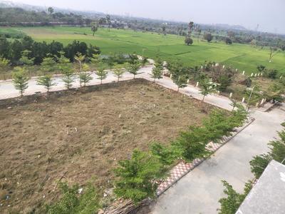 Project Image of 1341.0 - 2250.0 Sq.ft Residential Plot Plot for buy in Pudami Peacock