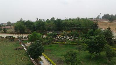 Project Image of 1200.0 - 7000.0 Sq.ft Residential Plot Plot for buy in NBR Green Valley