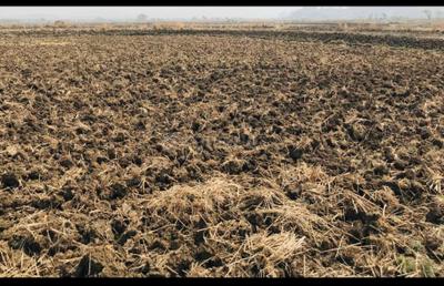 Project Image of 1000.0 - 10000.0 Sq.ft Residential Plot Plot for buy in Icon Ranjanpada Lands
