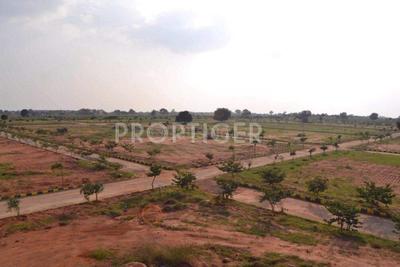 Project Image of 1200.0 - 2400.0 Sq.ft Residential Plot Plot for buy in Fortune Doctor Colony Extension