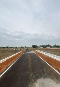 Project Images
