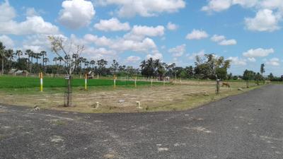 Project Image of 600.0 - 2400.0 Sq.ft Residential Plot Plot for buy in Wisdom Sri Sathya Sai Nagar