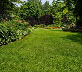 Project Image of 43560 Sq.ft Residential Plot / Land for sale in Sector 95B for Rs. 55000000