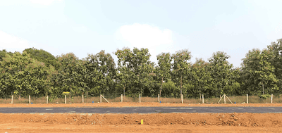 Project Images