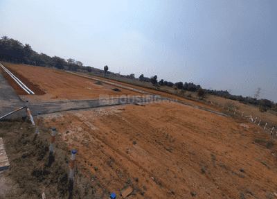 Project Images