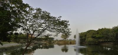 Project Image of 4320.0 - 10125.0 Sq.ft Residential Plot Plot for buy in Synthesis Suramya Lifespace