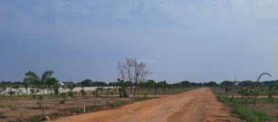 Gallery Cover Pic of Eagle Golden Valley