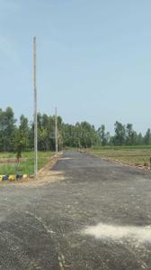 Project Images
