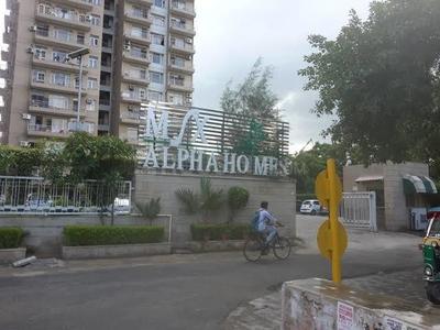 MSX Group Alpha Homes Elevation 3