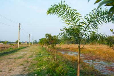 Project Image of 720.0 - 2880.0 Sq.ft Residential Plot Plot for buy in Rupbasuda Green Plaza