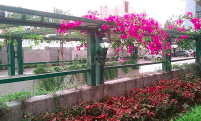 Project Image of 1638.0 - 1995.0 Sq.ft 3 BHK Apartment for buy in NGB Oak Groove