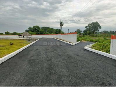 Project Images