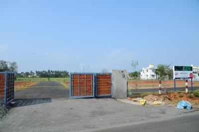 Project Images