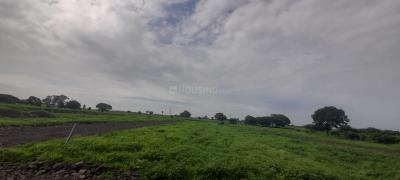 Project Images