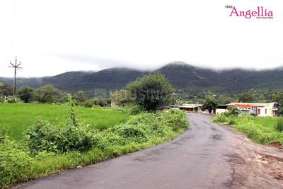 Project Image of 3228.0 - 5000.0 Sq.ft Residential Plot Plot for buy in FDCC Angellia