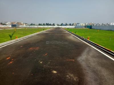 Project Image of 750.0 - 1600.0 Sq.ft Residential Plot Plot for buy in Daisy Park