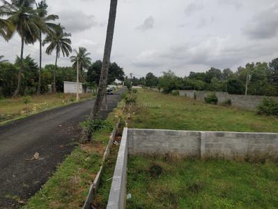 Project Image of 1200.0 - 2000.0 Sq.ft Residential Plot Plot for buy in Prutvi Sri Sai Royal Meadows