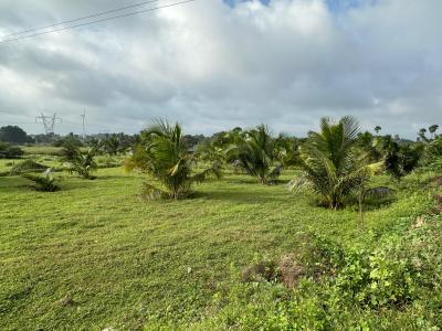 Project Image of 1099.96 - 1571.0 Sq.ft Residential Plot Plot for buy in Thamizhvanam KK Maestro