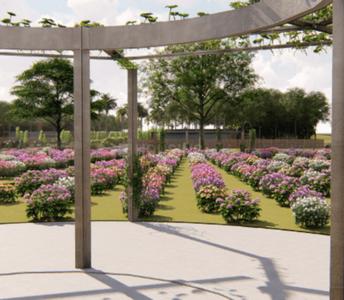 Project Image of 2178.0 - 7623.0 Sq.ft Residential Plot Plot for buy in Silpa Vanadhara