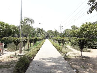 Project Images