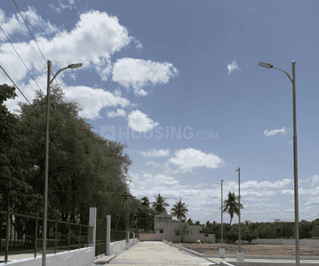 Project Images