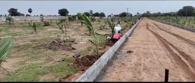 Project Image of 1800.0 - 3267.0 Sq.ft Residential Plot Plot for buy in Yadadri Sunrise County