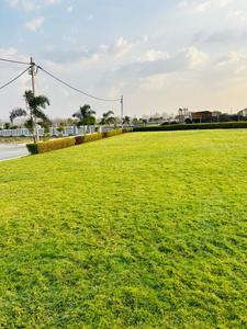 Project Image of 1000.0 - 1250.0 Sq.ft Residential Plot Plot for buy in Shri Krishna Premium Corridor