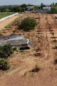 Project Image of 1800.0 - 3267.0 Sq.ft Residential Plot Plot for buy in Yadadri Sunrise County