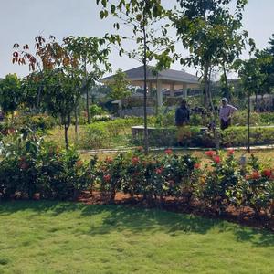 Project Image of 2953.0 - 4195.0 Sq.ft 3 BHK Villa for buy in Chaithanya Samarth
