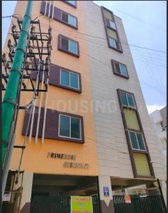 PJC Primerose Residency Elevation 1