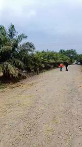 Project Image of 10000.0 - 20000.0 Sq.ft Residential Plot Plot for buy in SR The Rakhi Farm House