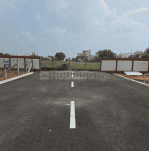 Project Images
