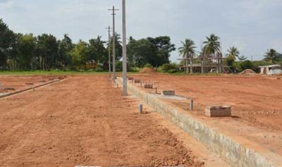 Project Images