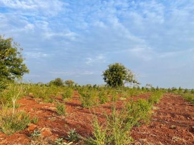 Project Image of 1089.0 - 5445.0 Sq.ft Residential Plot Plot for buy in V Navya Greens